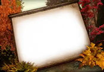 Efecto de fotos de la categoría Otros № 113138