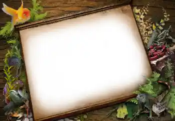 Efecto de fotos de la categoría Otros № 113139