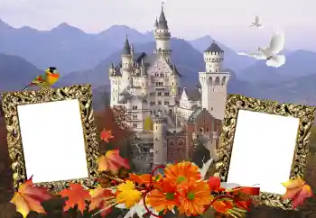 Efecto de fotos de la categoría Otros № 114211