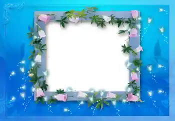 Efecto de fotos de la categoría Otros № 114212