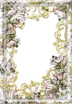 Efecto de fotos de la categoría Otros № 114216