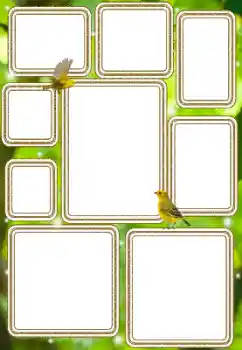 Efecto de fotos de la categoría Otros № 114577