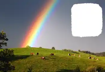 Efecto de fotos de la categoría Otros № 114599