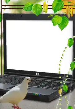 Efecto de fotos de la categoría Otros № 114633