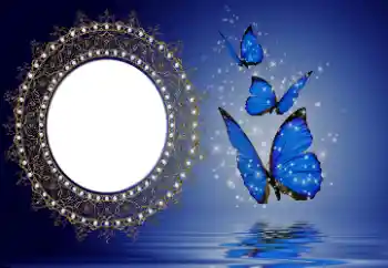 Efecto de fotos de la categoría Otros № 114746