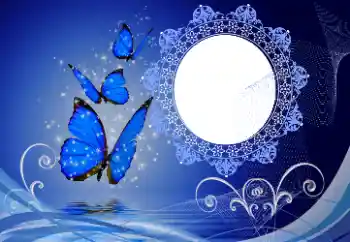 Efecto de fotos de la categoría Otros № 114747