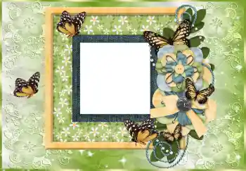 Efecto de fotos de la categoría Otros № 114753