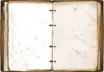 Efecto de fotos de la categoría Otros № 115773