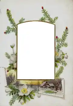 Efecto de fotos de la categoría Otros № 115833