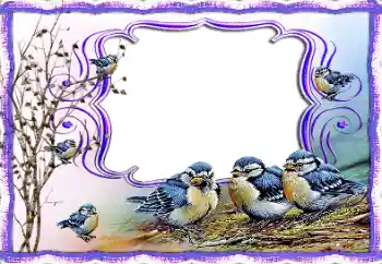 Efecto de fotos de la categoría Otros № 115877