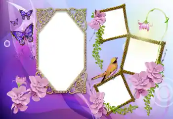 Efecto de fotos de la categoría Otros № 115891