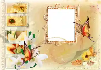 Efecto de fotos de la categoría Otros № 115894