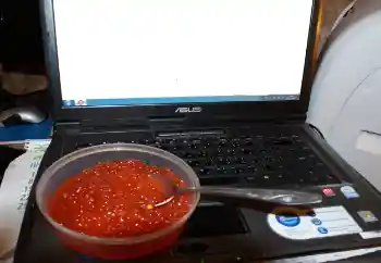 Efecto de fotos de la categoría Otros № 115910