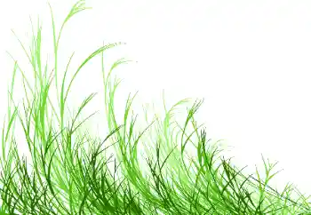 Efecto de fotos de la categoría Otros № 115932