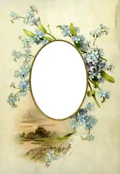 Efecto de fotos de la categoría Otros № 115941