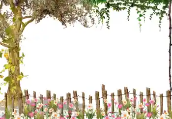 Efecto de fotos de la categoría Otros № 115954