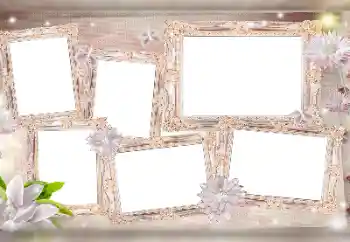 Efecto de fotos de la categoría Otros № 115976