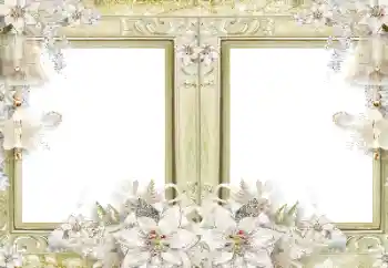 Efecto de fotos de la categoría Otros № 116108