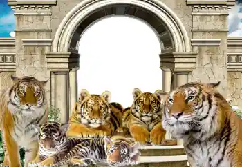 Efecto de fotos de la categoría Otros № 116203