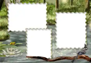 Efecto de fotos de la categoría Otros № 116216