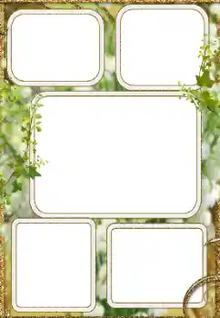 Efecto de fotos de la categoría Otros № 116219