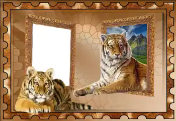 Efecto de fotos de la categoría Otros № 117310