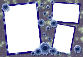 Efecto de fotos de la categoría Otros № 117394