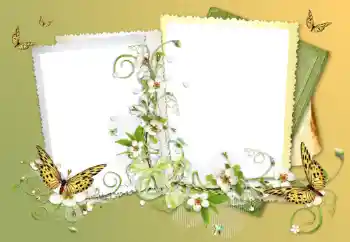 Efecto de fotos de la categoría Otros № 117632