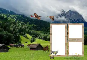 Efecto de fotos de la categoría Otros № 118908