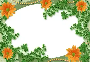 Efecto de fotos de la categoría Otros № 118929