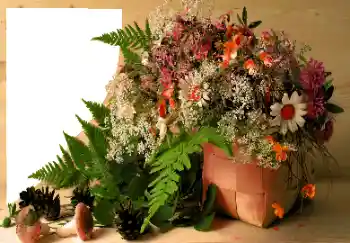 Efecto de fotos de la categoría Otros № 120020