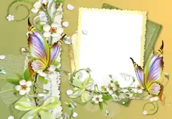 Efecto de fotos de la categoría Otros № 121056