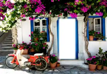 Efecto de fotos de la categoría Otros № 121131