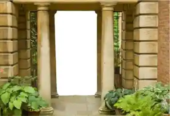 Efecto de fotos de la categoría Otros № 121152