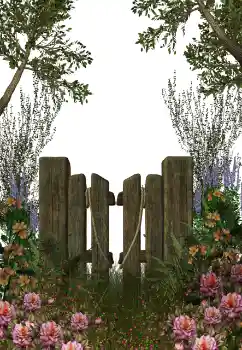 Efecto de fotos de la categoría Otros № 123212