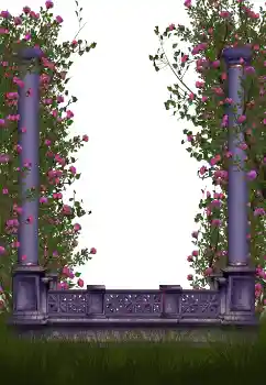 Efecto de fotos de la categoría Otros № 123213