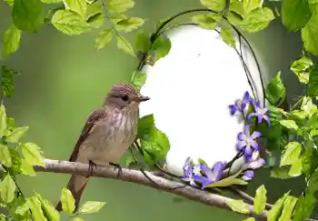 Efecto de fotos de la categoría Otros № 123219