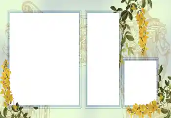 Efecto de fotos de la categoría Otros № 123242