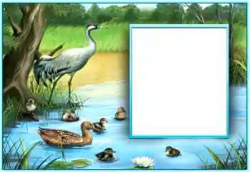 Efecto de fotos de la categoría Otros № 124254