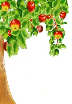 Efecto de fotos de la categoría Otros № 124400 Efecto de fotos de la categoría Otros № 124400