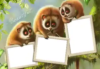 Efecto de fotos de la categoría Otros № 124434 Efecto de fotos de la categoría Otros № 124434