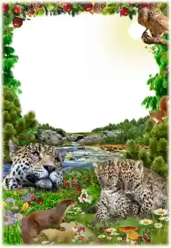 Efecto de fotos de la categoría Otros № 125652 Efecto de fotos de la categoría Otros № 125652