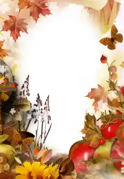 Efecto de fotos de la categoría Otros № 125777 Efecto de fotos de la categoría Otros № 125777