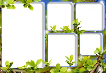 Efecto de fotos de la categoría Otros № 125893 Efecto de fotos de la categoría Otros № 125893