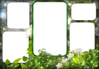 Efecto de fotos de la categoría Otros № 125911 Efecto de fotos de la categoría Otros № 125911