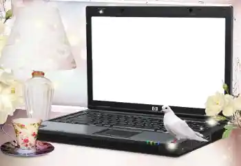 Efecto de fotos de la categoría Otros № 127079 Efecto de fotos de la categoría Otros № 127079