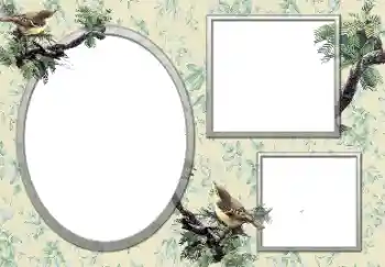 Efecto de fotos de la categoría Otros № 127132 Efecto de fotos de la categoría Otros № 127132