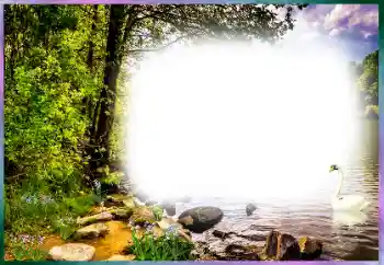 Efecto de fotos de la categoría Otros № 127169 Efecto de fotos de la categoría Otros № 127169