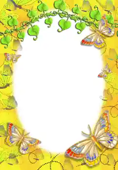 Efecto de fotos de la categoría Otros № 12836