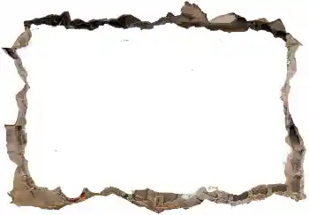 Efecto de fotos de la categoría Otros № 128418